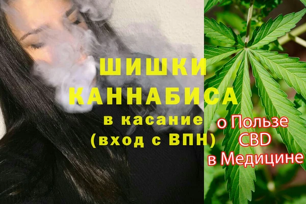 PSILOCYBIN Заводоуковск