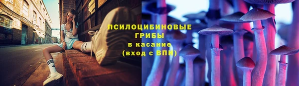 PSILOCYBIN Заводоуковск