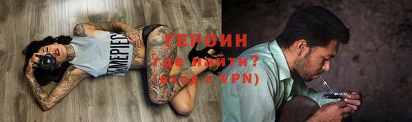 PSILOCYBIN Заводоуковск