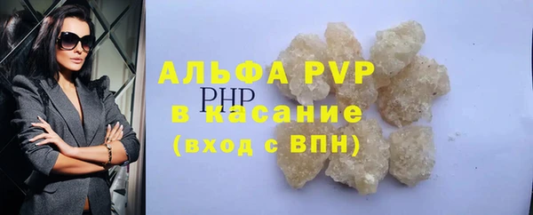 PSILOCYBIN Заводоуковск
