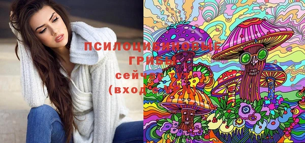 Альфа ПВП Заволжск