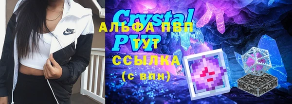 PSILOCYBIN Заводоуковск
