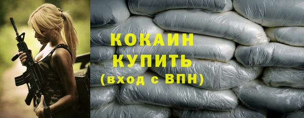 PSILOCYBIN Заводоуковск
