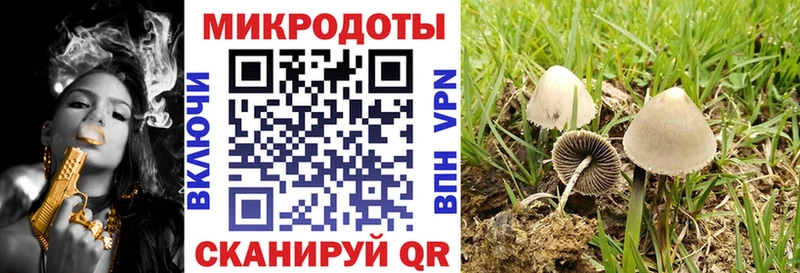 Псилоцибиновые грибы GOLDEN TEACHER  где купить наркоту  kraken как войти  Кадников 